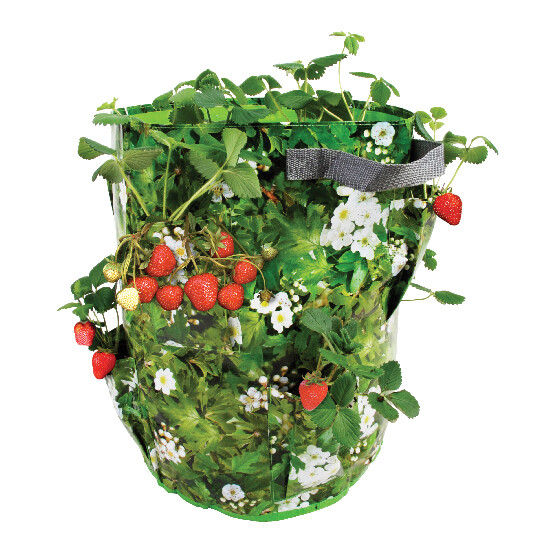 Strawberry and herb nursery (SALE)|Esschert Design