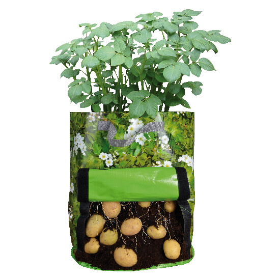 Potato nursery (SALE)|Esschert Design