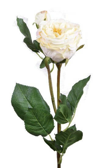 Kvetina ruža, žltá|Ego Dekor
