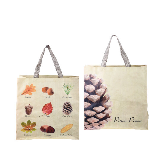 Shopping bag Leaves and fruits, sturdy with textile handles, double-sided, with a colorful print of forest fruits and leaves with descriptions, 39.5 x 14.5 x 40 cm (SALE)|Esschert Design
