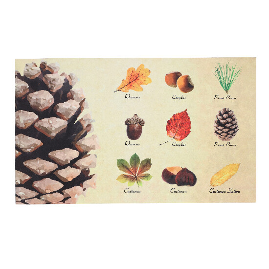 Podložka pod litinovou rohožku "BEST FOR BOOTS" Listy a plody, barevná, 75 x 45 cm (DOPRODEJ)|Esschert Design