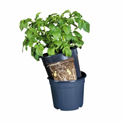 Planter/pot for potatoes, dia. 30.2 cm|Esschert Design