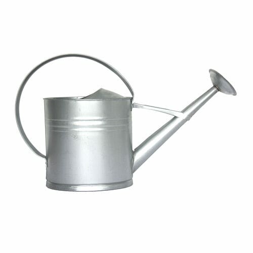 New galvanized garden watering can, 62.5 cm|Esschert Design