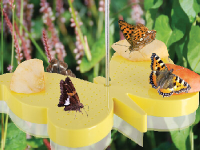 ESSCHERT DESIGN Motýlí krmítko "BEST FOR BIRDS", průhledné se žlutou, tvar motýla, závěsné na kovovém háčku, 23 x 17 x 23 cm