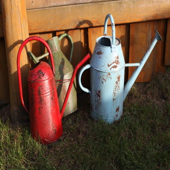Vintage watering can, 8.5L, red/blue/green with patina|Esschert Design
