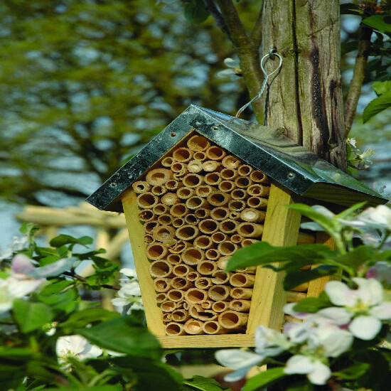 ED Wintering place/house for bees, 15x12x20 cm, natural (SALE)|Esschert Design