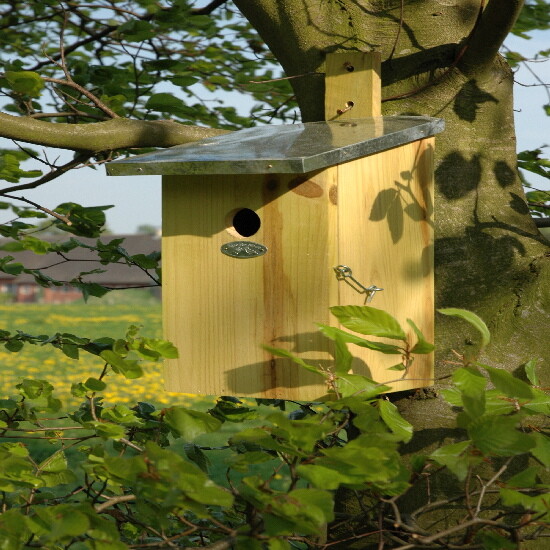 ED Observation Nest "BEST FOR BIRDS"|Esschert Design