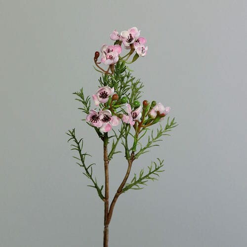 Kvetina umelá Byliny zväzok, vosková, ružová, 25cm|Ego Dekor