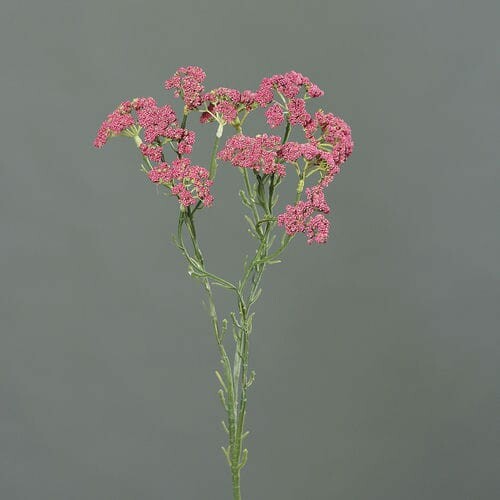 Květina umělá Kopr, růžová, 70cm|Ego Dekor