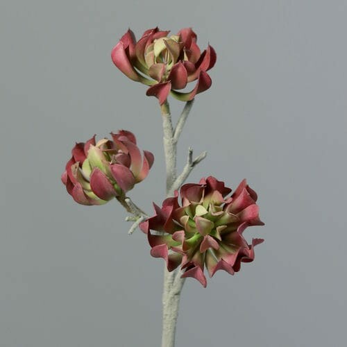Rostlina/květina umělá Sukulent, zelená|tmavá, 43cm|Ego Dekor