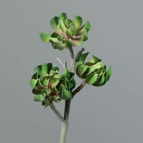 Rostlina/květina umělá Sukulent, zelená, 43cm|Ego Dekor