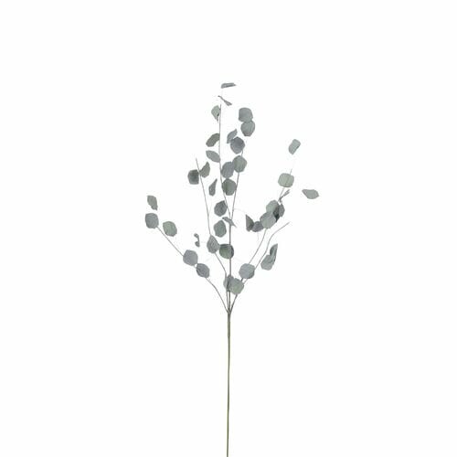 Kvetina peniaze sušená FLOWEE, sivá, pr.10x72cm|Ego Dekor