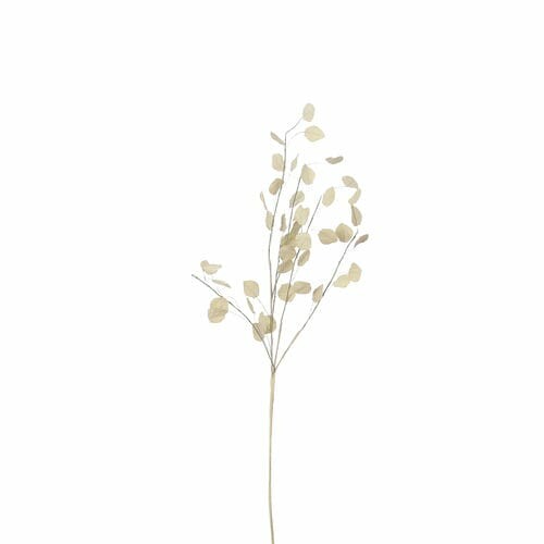 Květina penízek sušená FLOWEE, bílá, pr.10x72cm|Ego Dekor