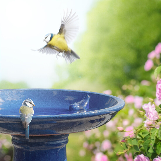 Koupel pro ptáčky ELEGANT, na noze/podstavci, 42x47cm,modrá glazura|Esschert Design