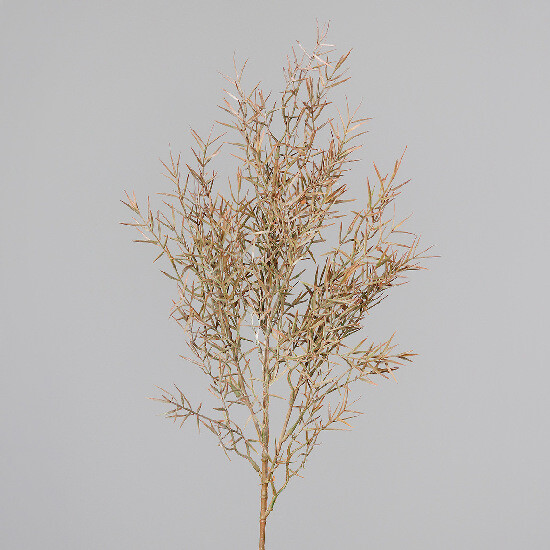 Kwiat szparagów, gałązka, 75cm|Ego Dekor