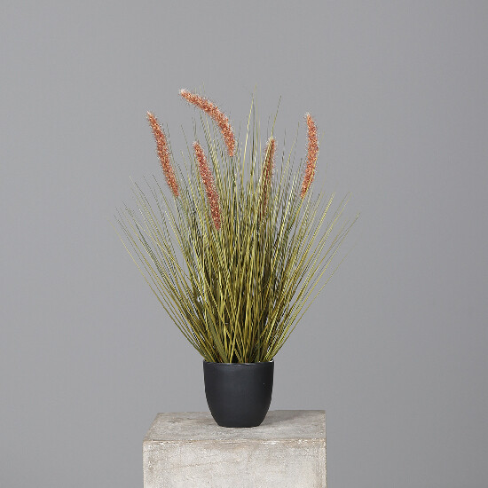 Grass in black plastic pot, 56 cm, 8/48|Ego Dekor