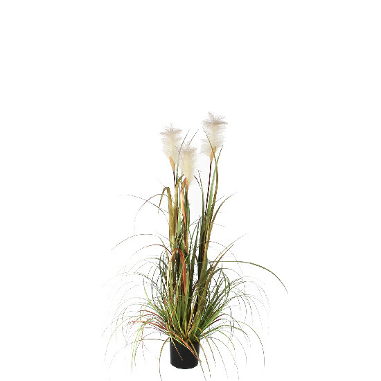 Kvetina PLUME v kvetináči, zelená, priemer. 45cm|Ego Dekor