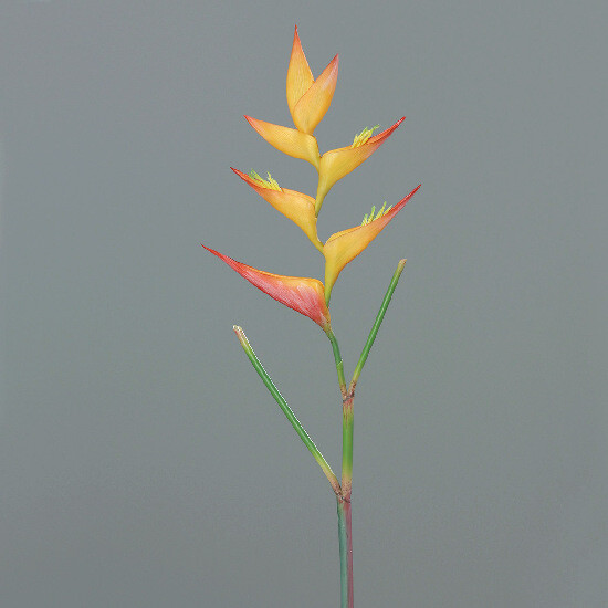Heliconia, orange-red, 95cm, 12/96|Ego Dekor