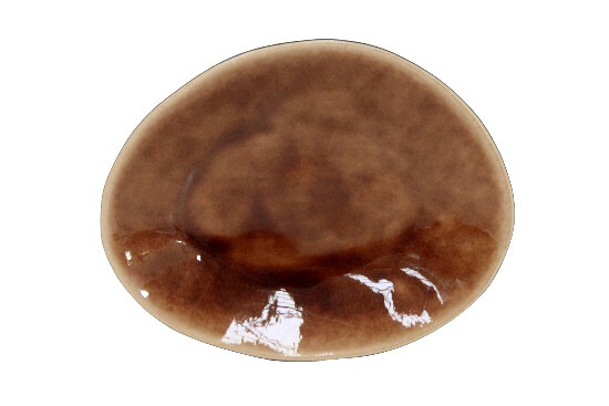 Oval dessert plate 16cm, RIVIERA, brown|black|Terra|Costa Nova