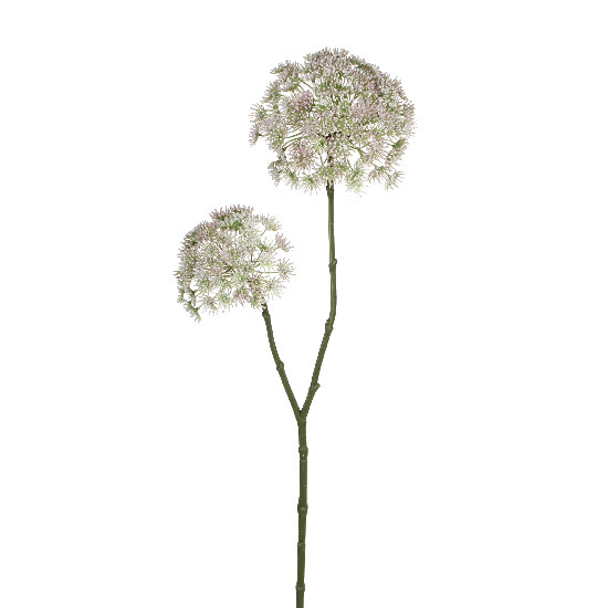 Kvetina Pastinák, ružová, 83 cm|Ego Dekor