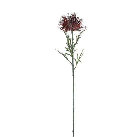Protea flower, red, 71 cm|Ego Dekor