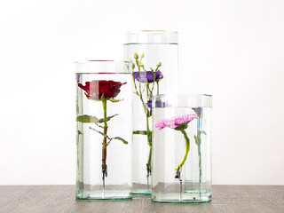 ESSCHERT DESIGN XXL Váza na ponořené květiny, čirá, 12 x 12 x 70 cm, 7L