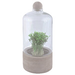 Planter with cover, 