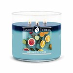 Candle 0.41 KG OPTOMISTIC VIBES, aromatic in a jar, 3 wicks|Goose Creek