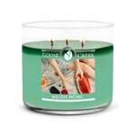 Candle 0.41 KG MELON PICNIC, aromatic in a jar, 3 wicks|Goose Creek
