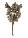 Branch with berries, golden, h. 25cm (SALE)|Ego Dekor