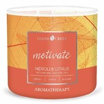 AROMATHERAPY candle 0.41 KG NEROLI & CITRUS, aromatic in a jar, 3 wicks|Goose Creek