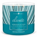 AROMATHERAPY candle 0.41 KG JASMINE & VETIVER, aromatic in a jar, 3 wicks|Goose Creek