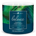 AROMATHERAPY candle 0.41 KG TRANQUIL RAINFOREST, aromatic in a jar, 3 wicks|Goose Creek