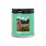 Candle with 1-wick 0.2 KG MEADOWSWEET AVOCADO, aromatic in a jar with a metal lid|Goose Creek