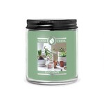 Candle with 1-wick 0.2 KG SUCCULENTS, aromatic in a jar with a metal lid|Goose Creek