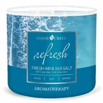 AROMATHERAPY candle 0.41 KG FRESH AIR & SEA SALT, aromatic in a jar, 3 wicks|Goose Creek