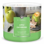Candle 0.41 KG APPLE GATHERING, aromatic in a jar, 3 wicks|Goose Creek