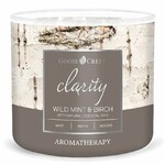 AROMATHERAPY candle 0.41 KG WILD MINT & BIRCH, aromatic in a jar, 3 wicks|Goose Creek