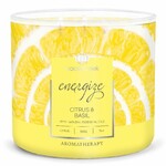 AROMATHERAPY candle 0.41 KG CITRUS & BASIL, aromatic in a jar, 3 wicks|Goose Creek