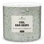 MEN'S COLLECTION 0.41 KG COOL RAIN DROPS candle, aromatic in a jar, 3 wicks|Goose Creek