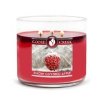 Candle 0.41 KG SNOW COVERED APPLES, aromatic in a jar, 3 wicks|Goose Creek
