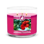 Candle 0.41 KG HIBISCUS FRUIT PUNCH, aromatic in a jar, 3 wicks|Goose Creek