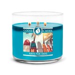 Candle 0.41 KG RAYS FOR DAYS, aromatic in a jar, 3 wicks|Goose Creek