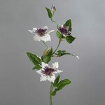 Květina umělá Klemátis 3 květy, bílá|purpurová, 76cm|Ego Dekor