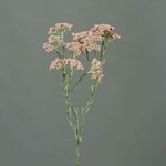 Květina Kopr, růžová, 70cm