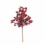 Branch with decorative fruits, red, 20x45x9cm, pc|Ego Dekor