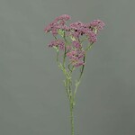 Květina Kopr, fialová|levandulová, 70cm