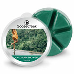 CHILLY RAIN SHOWER wax, 59g, for aroma lamp|Goose Creek
