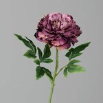 Květina umělá Pivoňka, růžová|pudrová, 60cm|Ego Dekor