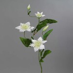 Kwiat sztuczny Clematis 3 kwiaty, kremowy, 76cm|Ego Dekor
